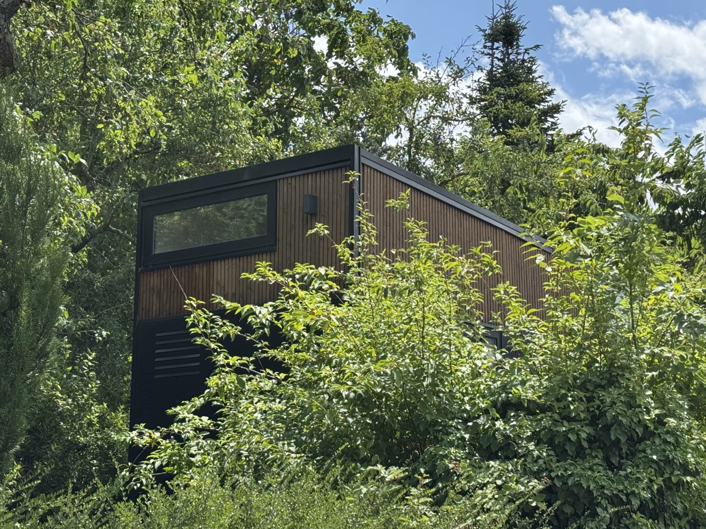 Module à bardage bois brun émergeant d'un bosquet en pleine végétation estivale